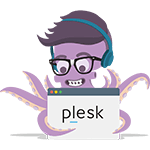 Plesk Hosting Guide